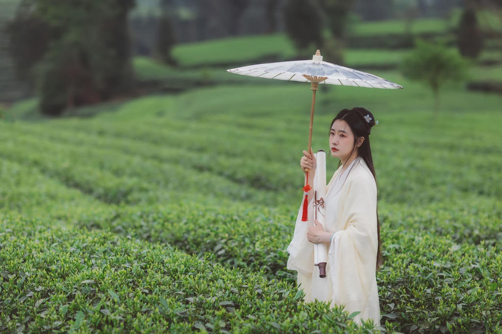 茶园中的白衣美女清新脱俗写真
