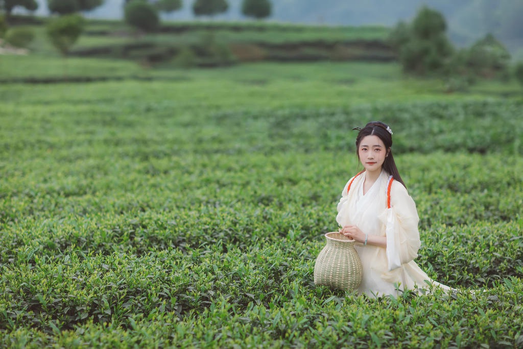 茶园中的白衣美女清新脱俗写真