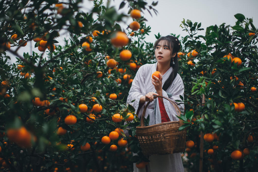 果园里的古装美女清新脱俗图片