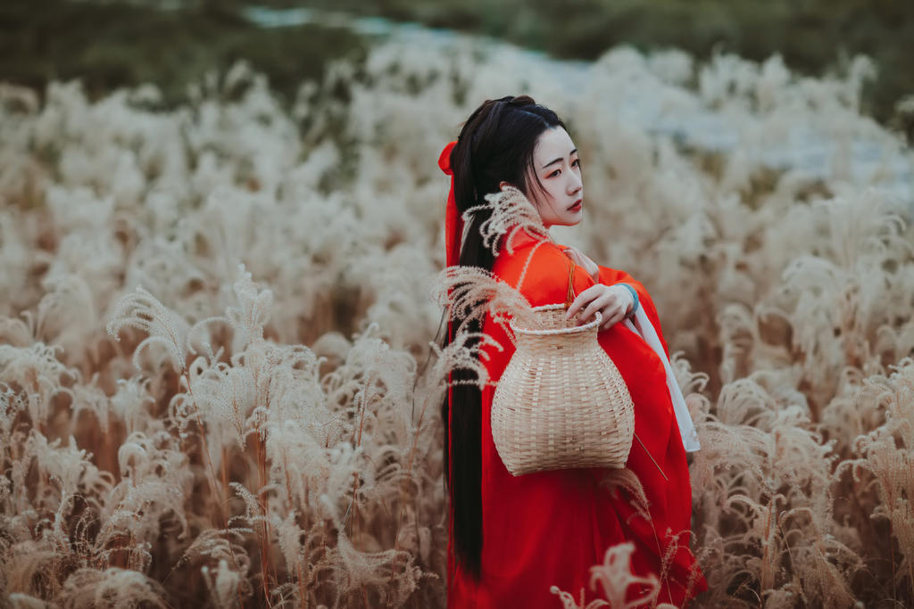 芦苇中的红衣美女美艳动人图片